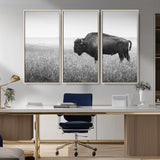 90861202-MGV-CV-36X24-Black and White Bison Canvas Wall Art – Rustic American Buffalo Print, Western Wildlife Photography for Farmhouse, Cabin, Office