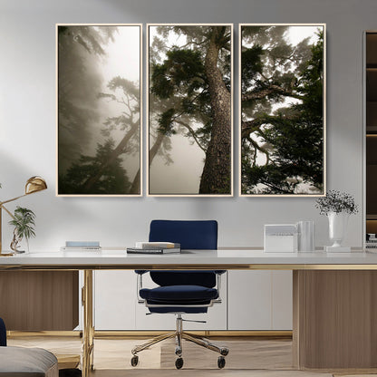 87969493-MGV-CV-36X24-Forest Wall Art – Misty Tall Trees Canvas Print, Dramatic Woodland Photography Decor for Bedroom, Living Room, Office, Cabin,