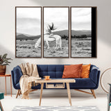 62789800-MGV-CV-36X24-White Horse Wall Art Canvas Print, Framed Woman Rider Art Picture Print, Equestrian Pose Perfect Western Boho Decor Artwork