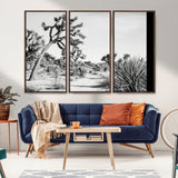 88164251-MGV-CV-36X24-Joshua Tree Wall Art Canvas Print, Framed Desert Path Art Picture Print, Monochrome Desert Perfect Minimalist Desert Decor Artwork
