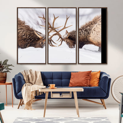 36507609-MGV-CV-36X24-Elk Clash Scene Wall Art Canvas Print, Framed Wildlife Strength Decor Art Picture Print, Snowy Forest Elk Perfect Rustic Lodge