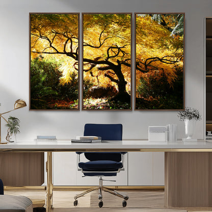 19067-MGV-CV-36X24-Golden Canopy Wall Art – Panoramic Autumn Tree Canvas Print, Warm Seasonal Decor for Living Room, Office or Garden Space