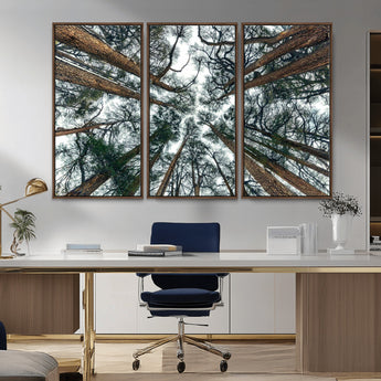 18790-MGV-CV-36X24-Pine Canopy Wall Art – Panoramic View of Towering Pines Canvas Print, Nature-Inspired Decor for Office, Cabin or Living Room