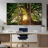 52150-MGV-CV-36X24-Majestic Tree Wall Art – Large Nature Canvas Print with Sunlight Through Branches, Rustic Forest Decor for Living Room, Bedroom or
