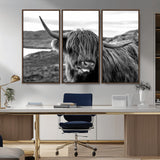 83810-MGV-CV-36X24-Highland Cow Wall Art – Black and White Highland Cattle Print, Rustic Farmhouse Animal Decor for Living Room