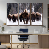 66871-MGV-CV-36X24-Bison Herd Wall Art – Wildlife Buffalo Canvas Print, Rustic Western Nature Photography Decor for Living Room, Office, Cabin, or