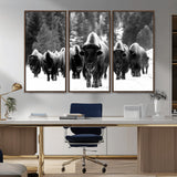 62434-MGV-CV-36X24-Bison Herd Wall Art – Majestic Black and White Buffalo Canvas Print, Wildlife Nature Photography Decor for Living Room, Office or