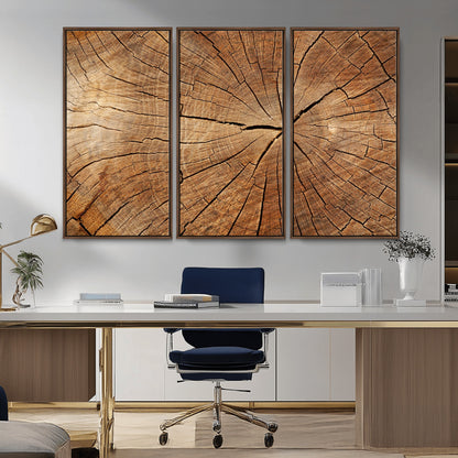 61710-MGV-CV-36X24-Tree Rings Wall Art – Rustic Wood Grain Canvas Print of Tree Trunk Cross Section, Nature Inspired Decor for Cabin, Office, Living