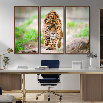 75066-MGV-CV-36X24-Leopard Wall Art Canvas Print, Framed Wild Animal Art Picture Print, Blue Eye Leopard Perfect Wild Minimal Decor Artwork
