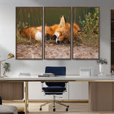 25085-MGV-CV-36X24-Sleeping Fox Wall Art Canvas Print, Framed Rustic Fox Art Picture Print, Wildlife Animal Perfect Rustic Farmhouse Decor Artwork