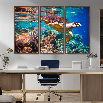 66614-MGV-CV-36X24-Sea Turtle Wall Art – Hawksbill Turtle Swimming Over Coral Reef Canvas Print, Ocean Marine Life Decor for Beach House, Coastal