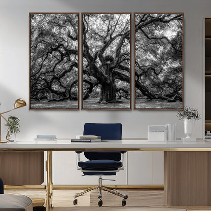 132944706-MGV-CV-36X24-Ancient Tree Wall Art – Black and White Photography Canvas Print Featuring Majestic Twisting Branches, Rustic Nature Artwork for