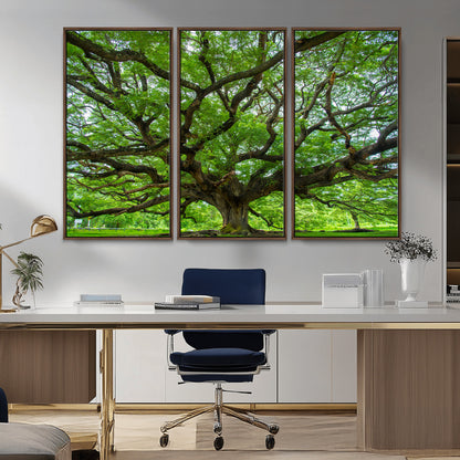 49375306-MGV-CV-36X24-Ancient Tree Wall Art Canvas Print, Framed Sprawling Branches Art Picture Print, Gnarling Tree Perfect Earthy Natural Decor