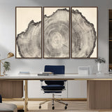 98921313-MGV-CV-36X24-Tree Ring Wall Art Canvas Print, Framed Wood Slice Art Picture Print, Minimalist Wood Perfect Rustic Academic Decor Artwork