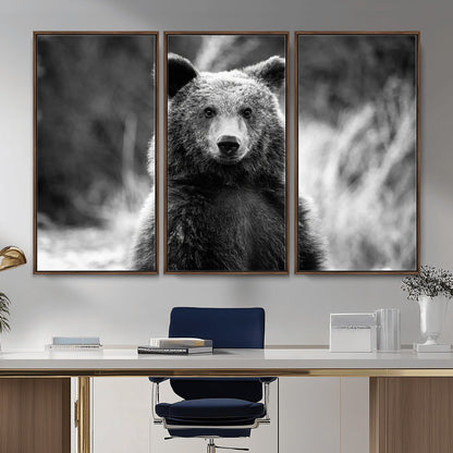 MGV-FC-48X32-3P - Grizzly Bear Wall Art Canvas Print, Framed Black White Bear Art Picture Print, Wild Bear Perfect Rustic Wildlife Decor Artwork