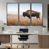 91267849-MGV-CV-36X24-Wild Bison Wall Art Canvas Print, Framed Bison in Prairie Art Picture Print, Rustic Western Perfect Rustic Western Decor Artwork