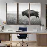 28435251-MGV-CV-36X24-Bison In Prairie Wall Art Canvas Print, Framed Rustic Wildlife Art Picture Print, Wild Buffalo Perfect Rustic Western Decor