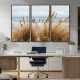 14270839-MGV-CV-36X24-Beach Grass Wall Art Canvas Print, Framed Coastal Dunes Art Picture Print, Dune Grass Perfect Coastal Minimalist Decor Artwork