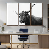 99244177-MGV-CV-36X24-Longhorn Photography Wall Art Canvas Print, Framed Western Cow Decor Art Picture Print, Black White Bull Perfect Modern Rustic