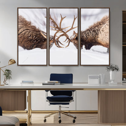 36507609-MGV-CV-36X24-Elk Clash Scene Wall Art Canvas Print, Framed Wildlife Strength Decor Art Picture Print, Snowy Forest Elk Perfect Rustic Lodge