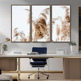 17019393-MGV-FC-48X32-3P_Walnut-Pampas Grass Wall Art Canvas Print, Framed Neutral Tones Art Picture Print, Minimalist Nature Perfect Boho Minimalist Decor