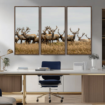 42170220-MGV-CV-36X24-Elk Herd Wall Art Canvas Print, Framed Wildlife Photography Art Picture Print, Majestic Antlers Perfect Rustic Wildlife Decor