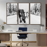 38956835-MGV-CV-36X24-Moose Winter Snowy Forest Canvas Wall Art – Wildlife Nature, Antlers in Frozen Landscape, Quiet Path, Cold Season Outdoors Print