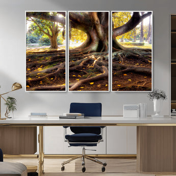 53335-MGV-CV-36X24-Majestic Tree with Sprawling Roots Wall Art – Serene Sunlit Park Scene, Nature Canvas Print, Perfect for Living Room, Office or