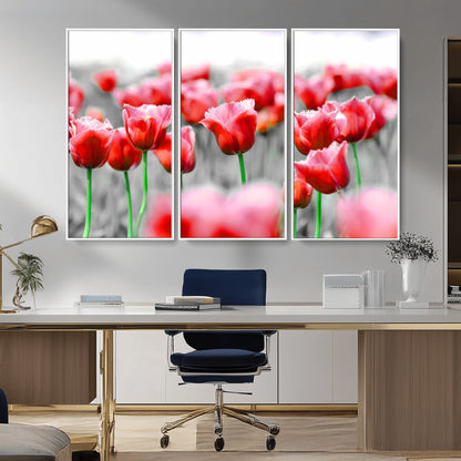 44554-MGV-CV-36X24-Vibrant red tulips stand out beautifully against a black-and-white background, making a striking decor piece perfect for any home