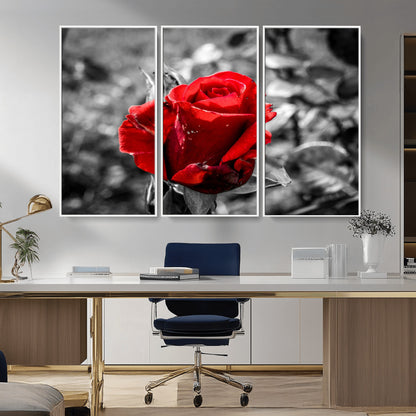 84671-MGV-CV-36X24-Red Rose Wall Art – Vibrant Single Bloom Canvas Print with Black and White Background, Elegant Floral Decor for Living Room,
