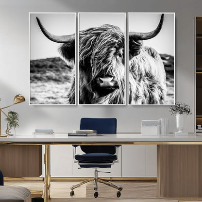 36979-MGV-CV-36X24-Striking black-and-white portrait of a Highland cow with flowing fur and majestic horns, perfect for rustic and elegant home or