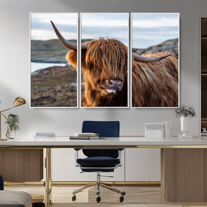 71222-MGV-FC-48X32-3P_White-A playful Highland cow with shaggy fur sticks out its tongue, set against a rugged landscape — perfect for quirky home or office