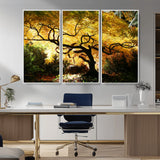 19067-MGV-CV-36X24-Golden Canopy Wall Art – Panoramic Autumn Tree Canvas Print, Warm Seasonal Decor for Living Room, Office or Garden Space