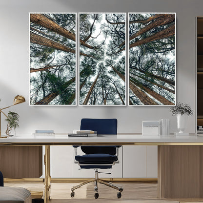18790-MGV-CV-36X24-Pine Canopy Wall Art – Panoramic View of Towering Pines Canvas Print, Nature-Inspired Decor for Office, Cabin or Living Room