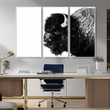 68780-MGV-FC-48X32-3P_White-Bison Close-Up Wall Art – Black and White Buffalo Canvas Print, Rustic Wildlife Photography Decor for Living Room, Office, or