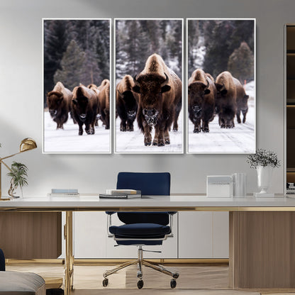 66871-MGV-CV-36X24-Bison Herd Wall Art – Wildlife Buffalo Canvas Print, Rustic Western Nature Photography Decor for Living Room, Office, Cabin, or