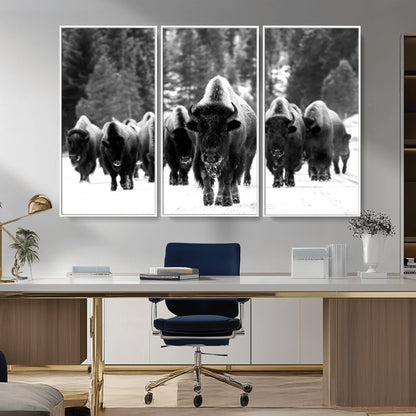62434-MGV-CV-36X24-Bison Herd Wall Art – Majestic Black and White Buffalo Canvas Print, Wildlife Nature Photography Decor for Living Room, Office or