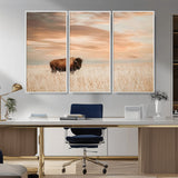 99699-MGV-CV-36X24-Bison in Prairie at Sunset – Wildlife Photography Print, American Buffalo Wall Art, Nature Landscape Canvas Decor for Office
