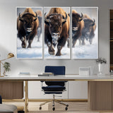 80512-MGV-CV-36X24-Bison Herd Wall Art – Buffalo Running in Snow Canvas Print, Rustic Wildlife Photography Decor for Cabin, Lodge, or Living Room