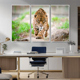75066-MGV-CV-36X24-Leopard Wall Art Canvas Print, Framed Wild Animal Art Picture Print, Blue Eye Leopard Perfect Wild Minimal Decor Artwork