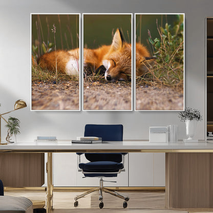 25085-MGV-CV-36X24-Sleeping Fox Wall Art Canvas Print, Framed Rustic Fox Art Picture Print, Wildlife Animal Perfect Rustic Farmhouse Decor Artwork