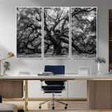 132944706-MGV-CV-36X24-Ancient Tree Wall Art – Black and White Photography Canvas Print Featuring Majestic Twisting Branches, Rustic Nature Artwork for