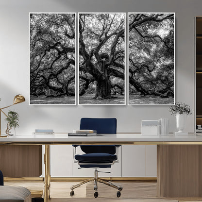 132944706-MGV-CV-36X24-Ancient Tree Wall Art – Black and White Photography Canvas Print Featuring Majestic Twisting Branches, Rustic Nature Artwork for