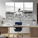 62789800-MGV-CV-36X24-White Horse Wall Art Canvas Print, Framed Woman Rider Art Picture Print, Equestrian Pose Perfect Western Boho Decor Artwork