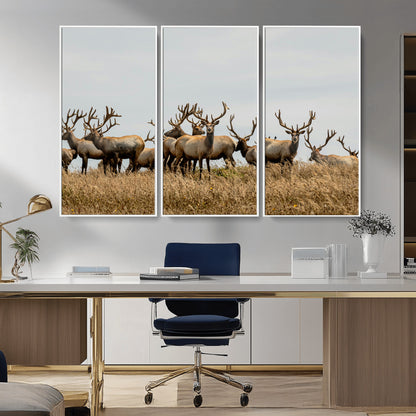 42170220-MGV-CV-36X24-Elk Herd Wall Art Canvas Print, Framed Wildlife Photography Art Picture Print, Majestic Antlers Perfect Rustic Wildlife Decor