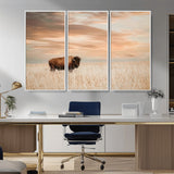 20306324-MGV-CV-36X24-Bison Wall Art – Lone American Buffalo Prairie Sunset Canvas Print, Rustic Western Wildlife Photography Decor for Living Room,