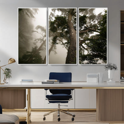 87969493-MGV-FC-48X32-3P_White-Forest Wall Art – Misty Tall Trees Canvas Print, Dramatic Woodland Photography Decor for Bedroom, Living Room, Office, Cabin,