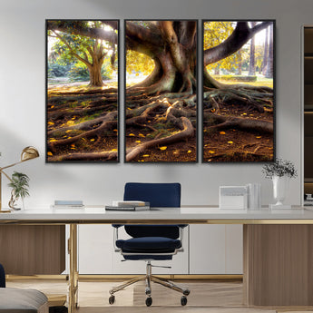53335-MGV-CV-36X24-Majestic Tree with Sprawling Roots Wall Art – Serene Sunlit Park Scene, Nature Canvas Print, Perfect for Living Room, Office or