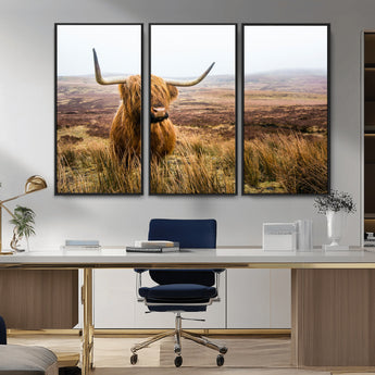 79391-MGV-CV-36X24-Majestic Highland Cow in Misty Scottish Moorland – Rustic Natural Charm, Perfect for Unique Home or Office Decor