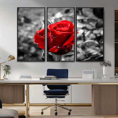 84671-MGV-CV-36X24-Red Rose Wall Art – Vibrant Single Bloom Canvas Print with Black and White Background, Elegant Floral Decor for Living Room,